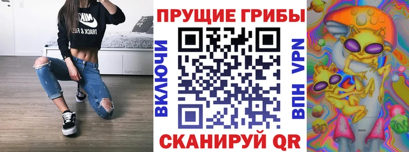 Галлюциногенные грибы Magic Shrooms  где найти наркотики  Невель 